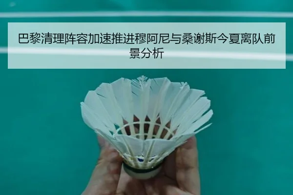 巴黎清理阵容加速推进穆阿尼与桑谢斯今夏离队前景分析